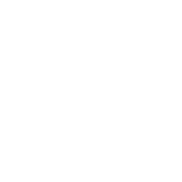 ブランド戦略の開発と実行